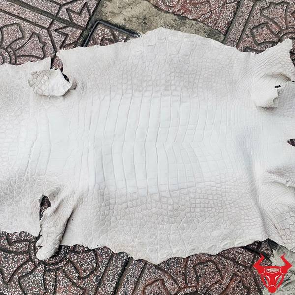 Da cá sấu trắng cao cấp dành cho sản phẩm thời trang đẳng cấp.