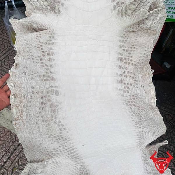 Da cá sấu size lớn, nâng tầm sản phẩm thời trang.