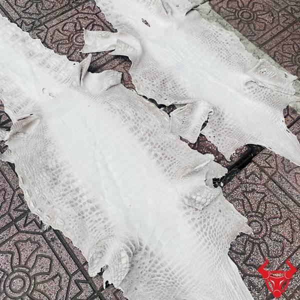 Da cá sấu hiếm, bền đẹp và đẳng cấp.