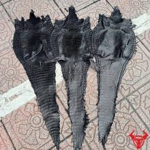 Da bụng cá sấu nguyên tấm Size 3 lớn màu đen với vân da đều, ít sẹo, chất liệu cao cấp dùng chế tác đồ da sang trọng.