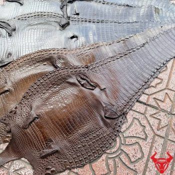 Da Bụng Cá Sấu Màu Nâu Đen Size 3 Lớn Chất Lượng Cao
