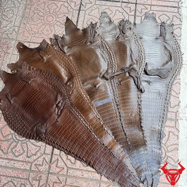 Da bụng cá sấu nguyên tấm Size 3 lớn màu nâu đen với vân đều, ít sẹo, chất lượng cao cấp và bền đẹp.