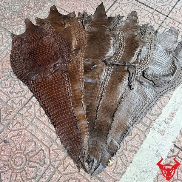Da bụng cá sấu màu nâu đen Size 3 lớn, vân đẹp tự nhiên, ít sẹo, sang trọng và bền bỉ.