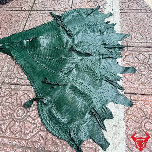 Da bụng cá sấu nguyên tấm màu xanh lá Size 3 lớn, vân đều, ít sẹo, cao cấp và bền đẹp.