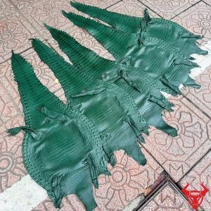 Da bụng cá sấu nguyên tấm màu xanh lá Size 3 lớn, vân đều, ít sẹo và sang trọng.