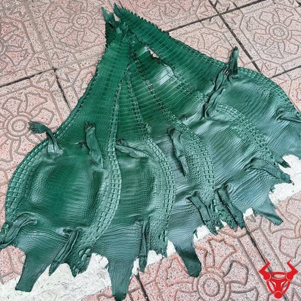 Da bụng cá sấu Size 3 lớn màu xanh lá, vân đều, ít sẹo, chất lượng cao và bền đẹp.