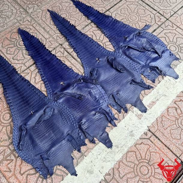 Da bụng cá sấu nguyên tấm màu xanh navy Size 3 lớn, vân đều, ít sẹo, bền đẹp và đẳng cấp.