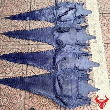 Da Bụng Cá Sấu Màu Xanh Navy Size 3 Lớn Chất Lượng Cao