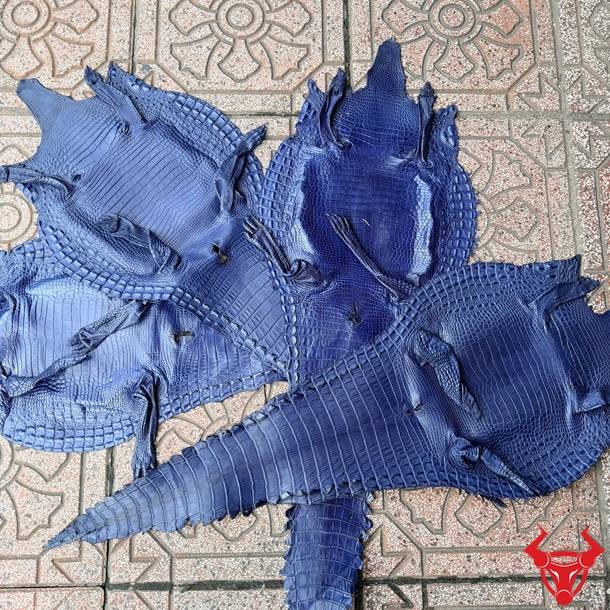Da bụng cá sấu nguyên tấm xanh navy, vân đều, ít sẹo, sang trọng và bền bỉ.