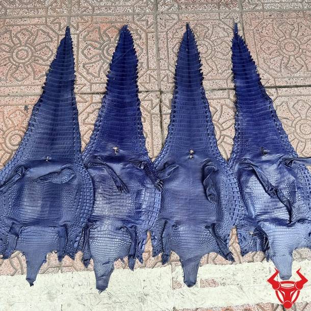 Da bụng cá sấu Size 3 lớn màu xanh navy với vân đẹp tự nhiên, ít sẹo và độ bền cao.