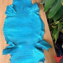 Da cá sấu Thái Lan bỏ gai size 4 xanh lam, vân tự nhiên đẹp, kích thước lớn và dễ thiết kế.