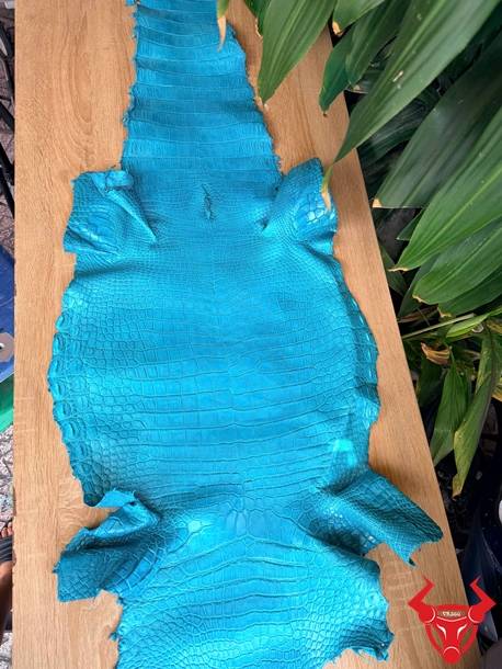 Da cá sấu Thái Lan nguyên tấm size 4 lớn màu xanh lam, vân đẹp, thời trang và dễ thiết kế.