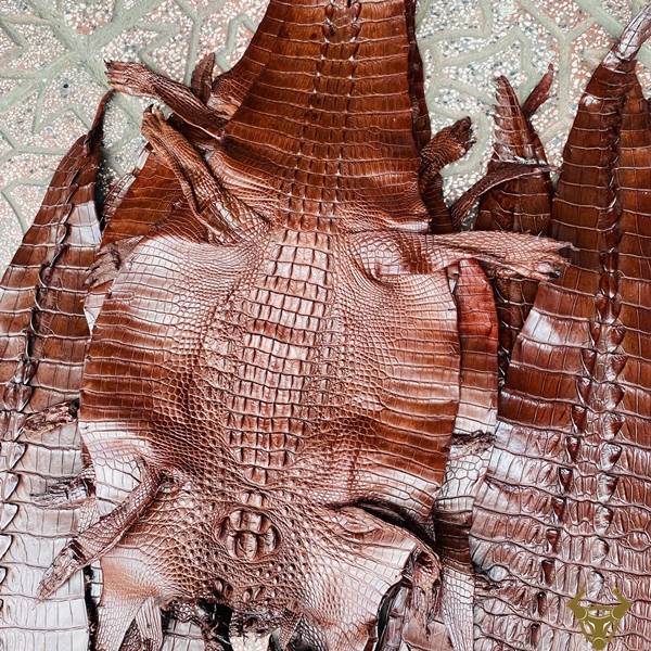 Da cá sấu gai lưng nguyên tấm size 3 lớn màu nâu đất cao cấp, vân đẹp.