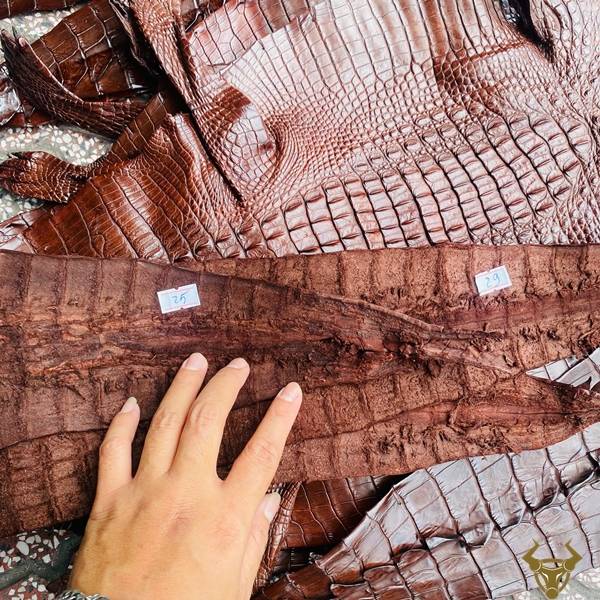 Da cá sấu gai lưng nâu đất nguyên tấm cao cấp, sang trọng.