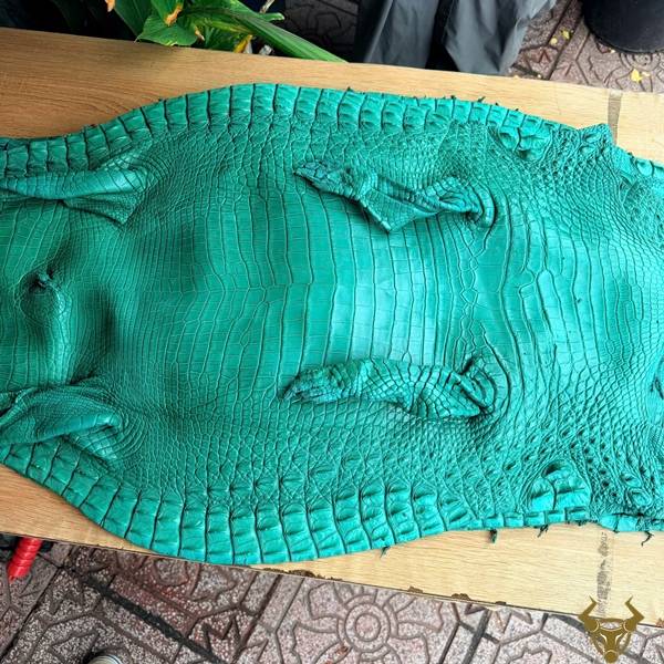 Da cá sấu thuộc xanh ngọc size 4 lớn phong cách thời trang, dễ ứng dụng.