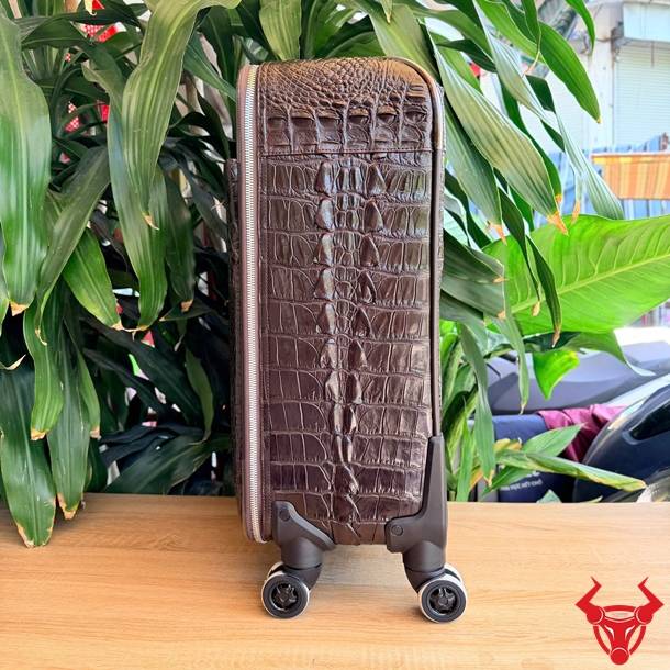 Vali da cá sấu gù Size 50 giúp nâng tầm phong cách du lịch.